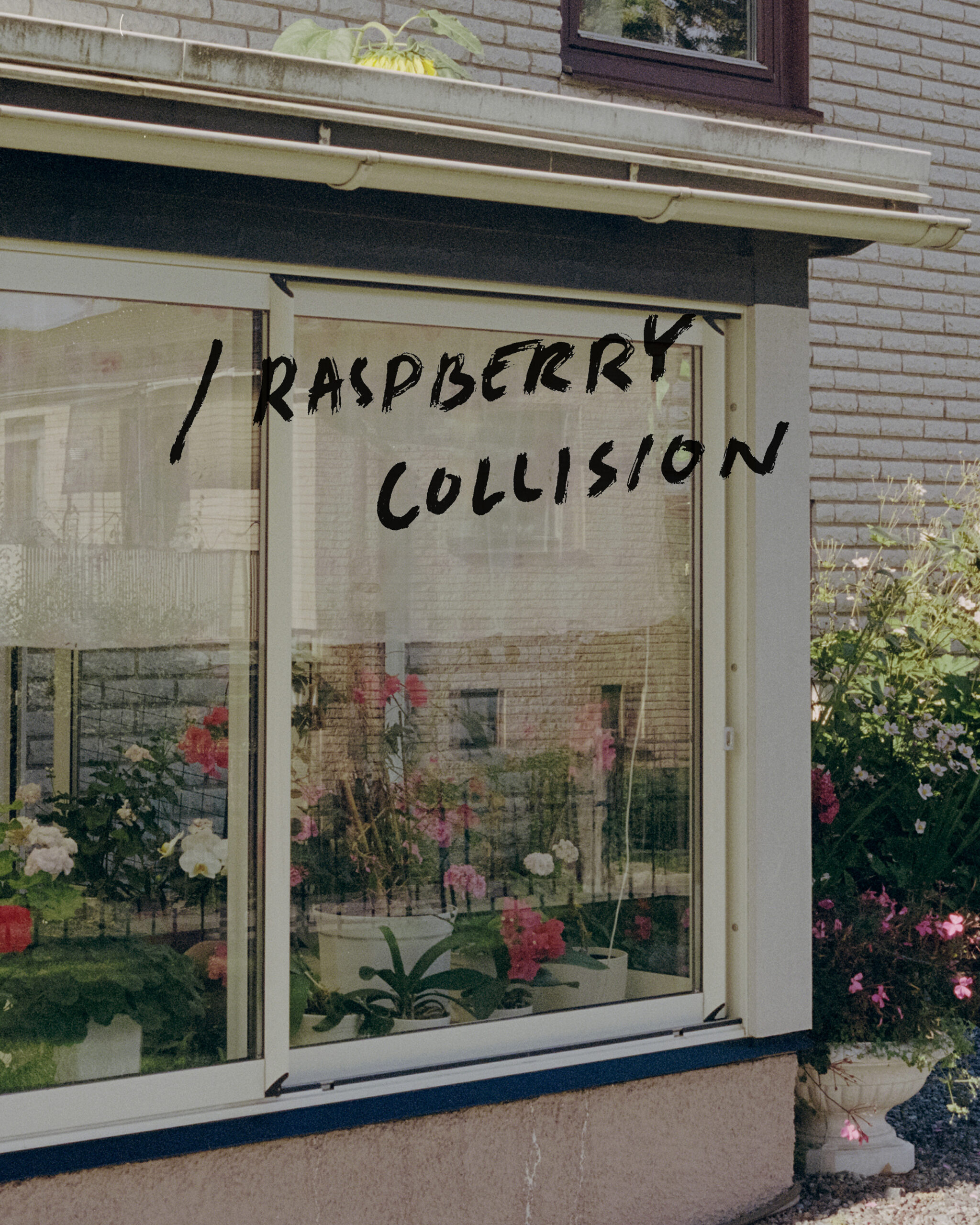 Raspberry Collision